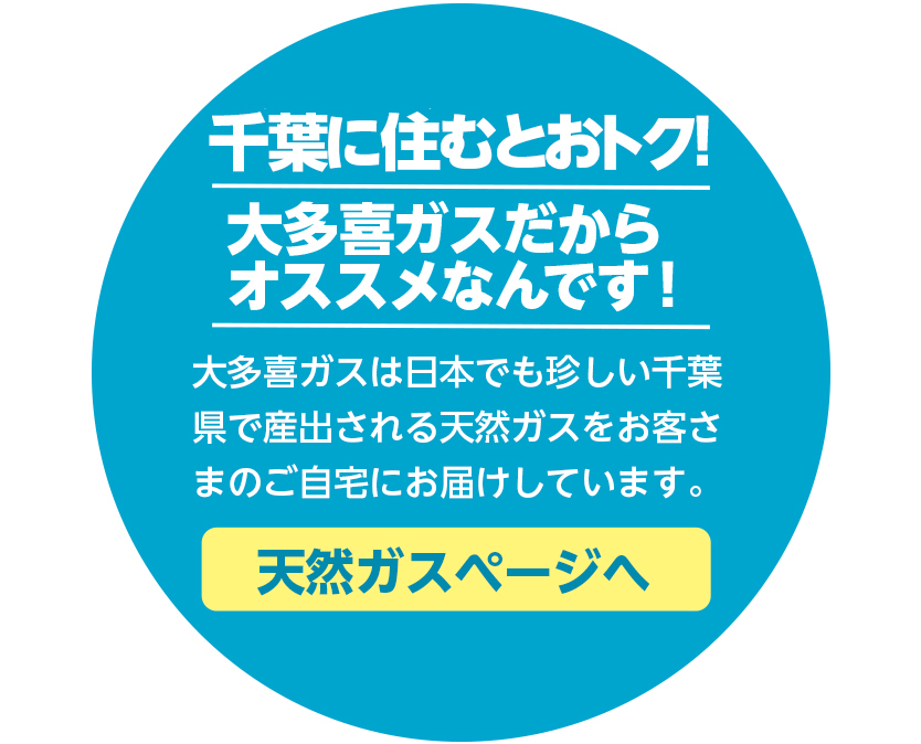 エネファーム type S