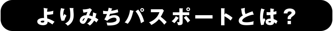 よりみちパスポートとは？
